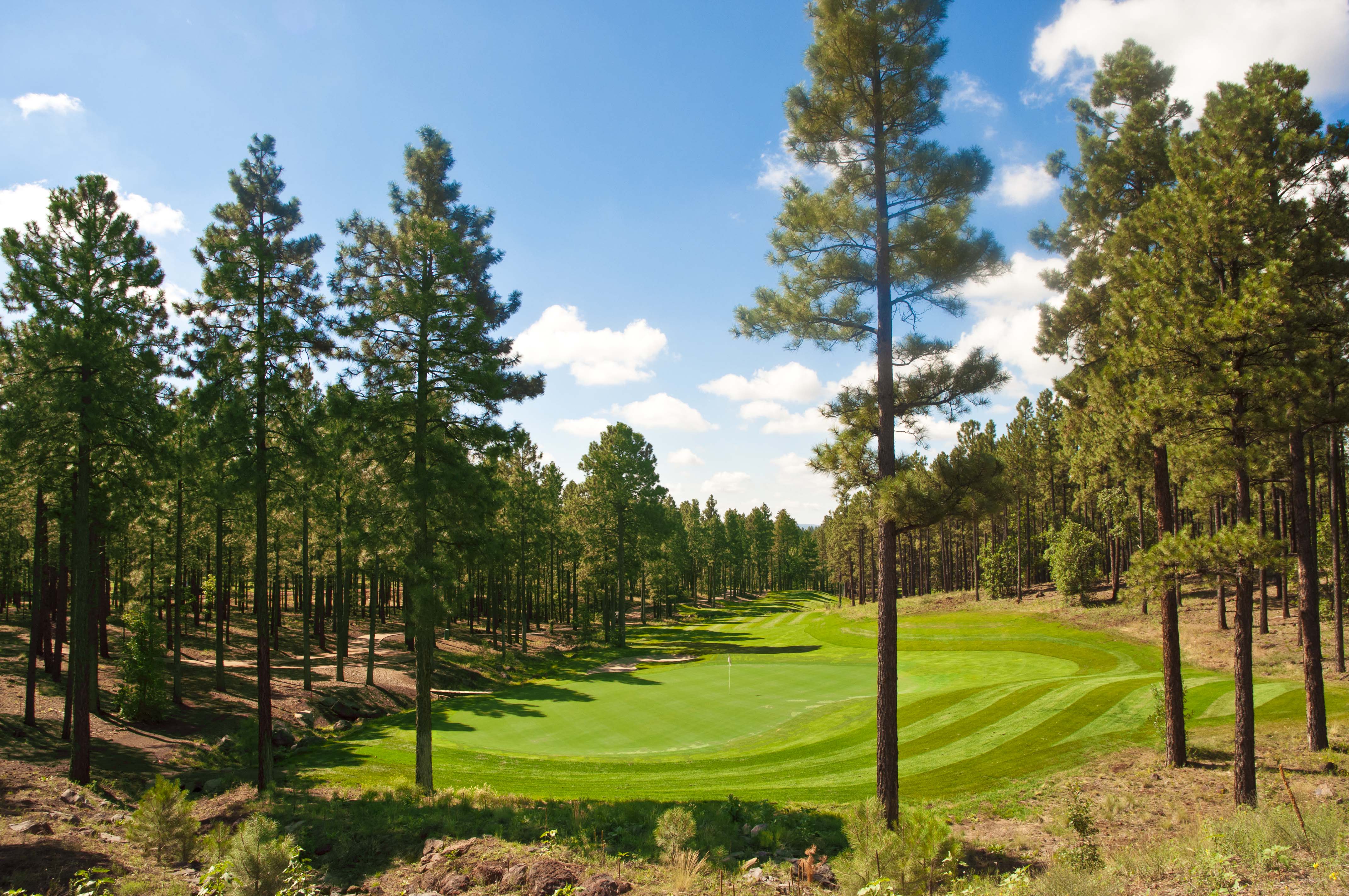 Flagstaff Ranch Golf View 4